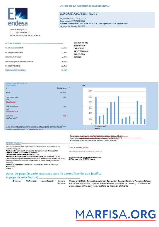 Blank SPAIN ENDESA business utility bill Word and PDF template pages1